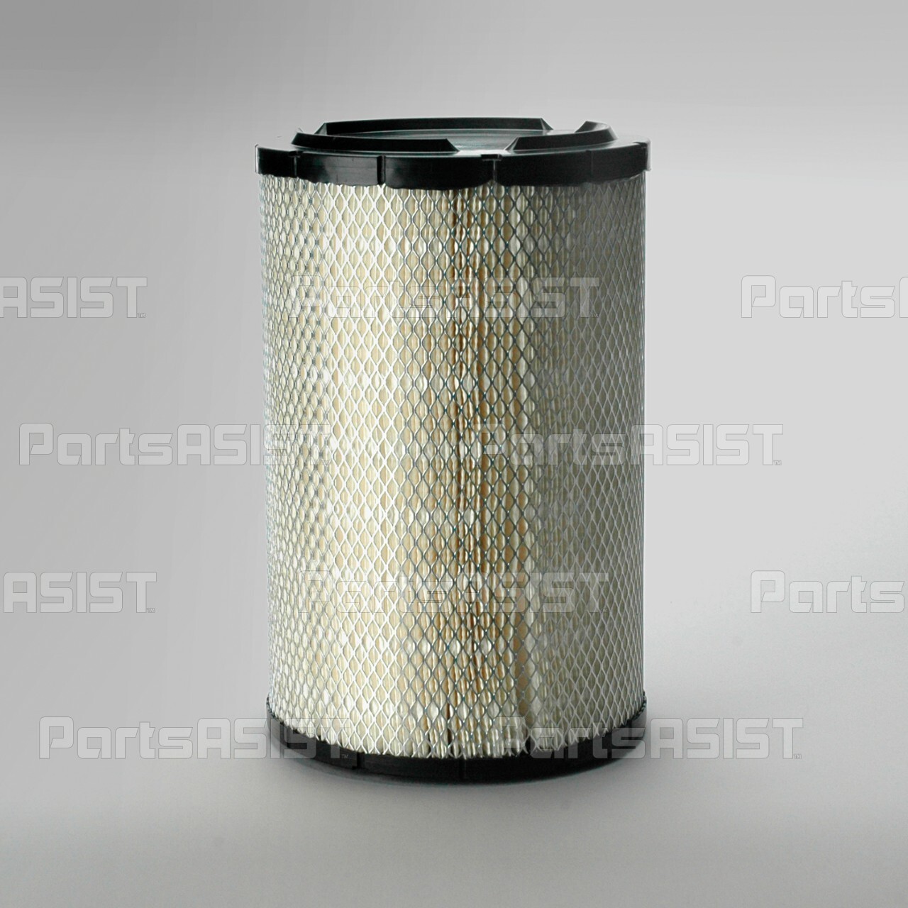 AIR FILTER, PRIMARY RADIA